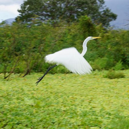 Hostal Y Restaurante Rancho Mérida エクステリア 写真