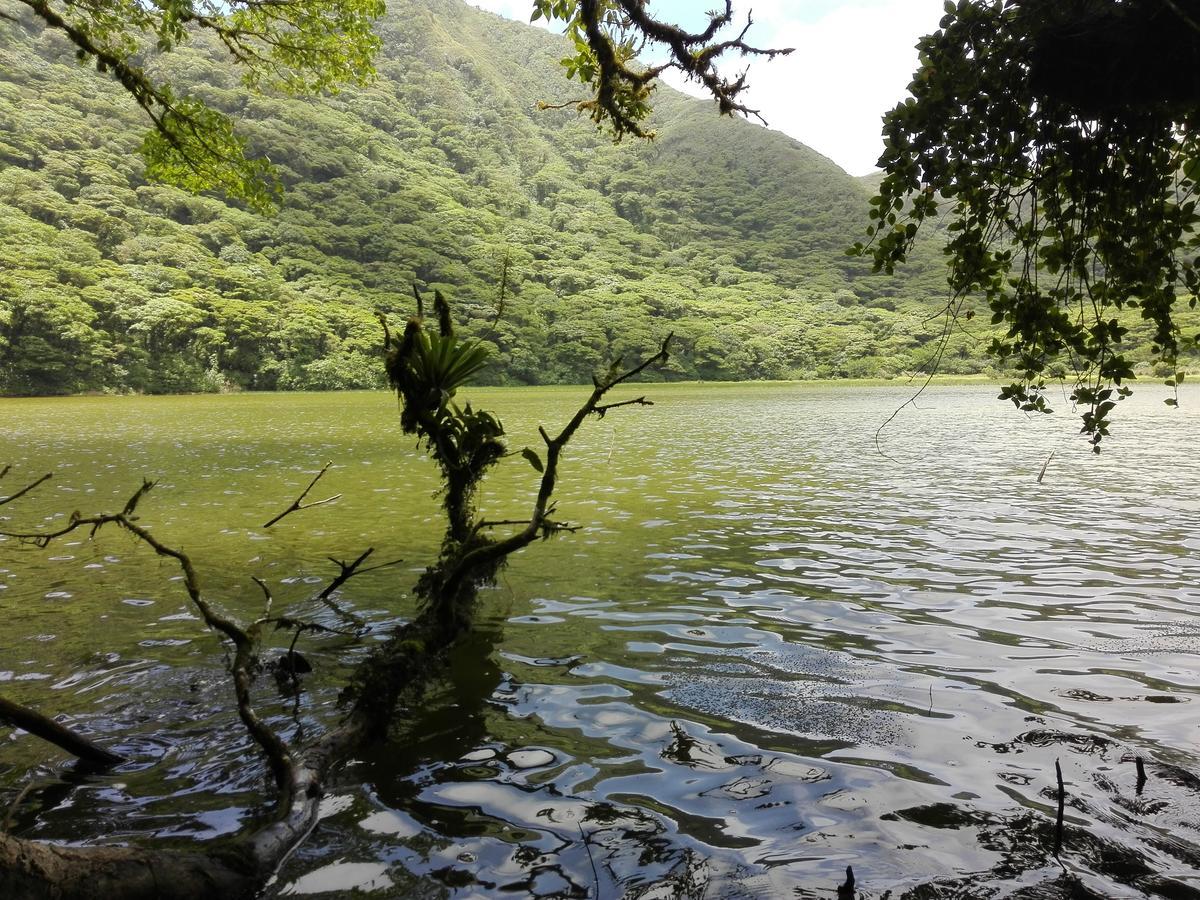 Hostal Y Restaurante Rancho Mérida エクステリア 写真
