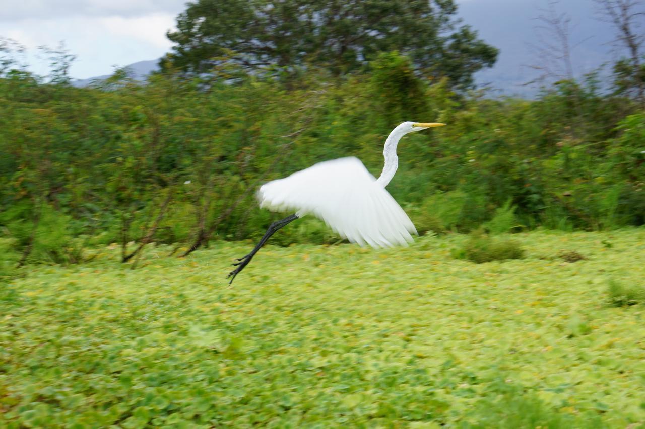 Hostal Y Restaurante Rancho Mérida エクステリア 写真